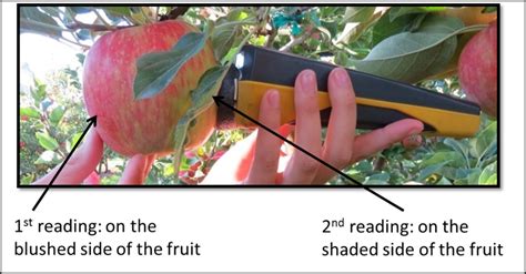 refractometer apples|apple tree da meter.